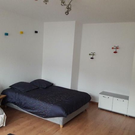 Ferienwohnung Mathilde'S Studio Straßburg Exterior foto